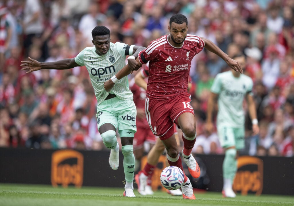 Tottenham target Cody Gakpo