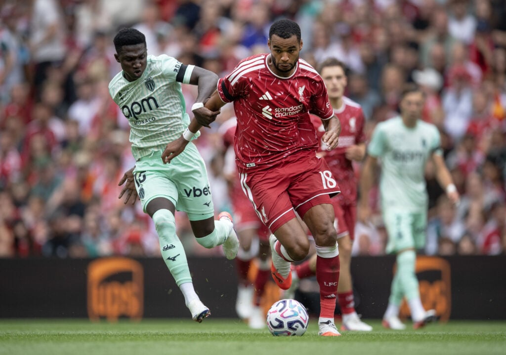 Tottenham target Cody Gakpo