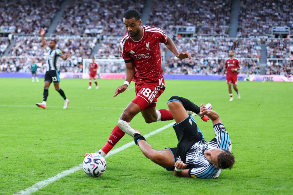 Tottenham target Cody Gakpo