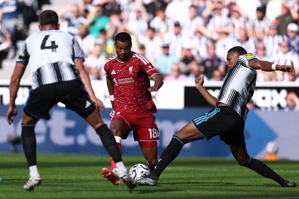 Tottenham target Cody Gakpo