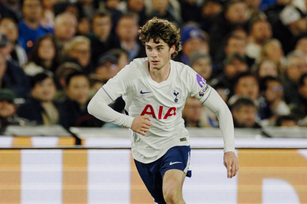 Archie Gray Tottenham