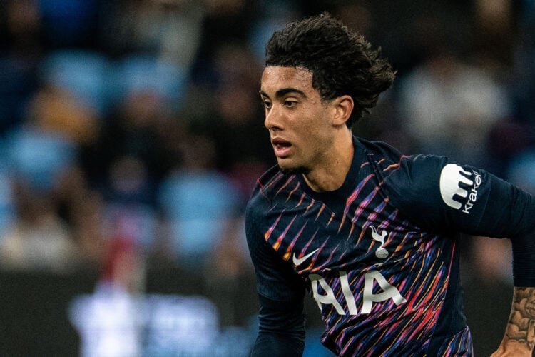 Luca Williams-Barnett Tottenham