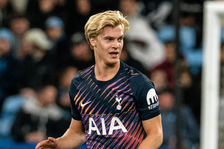 Lucas Bergvall Tottenham
