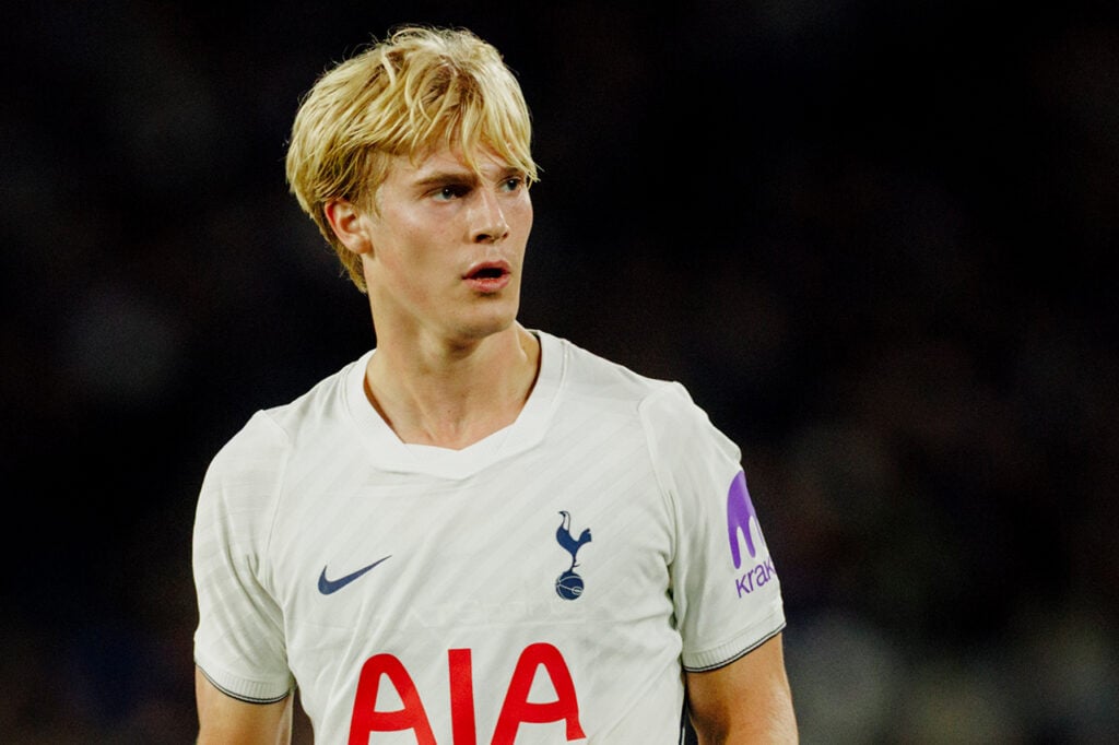 Lucas Bergvall Tottenham