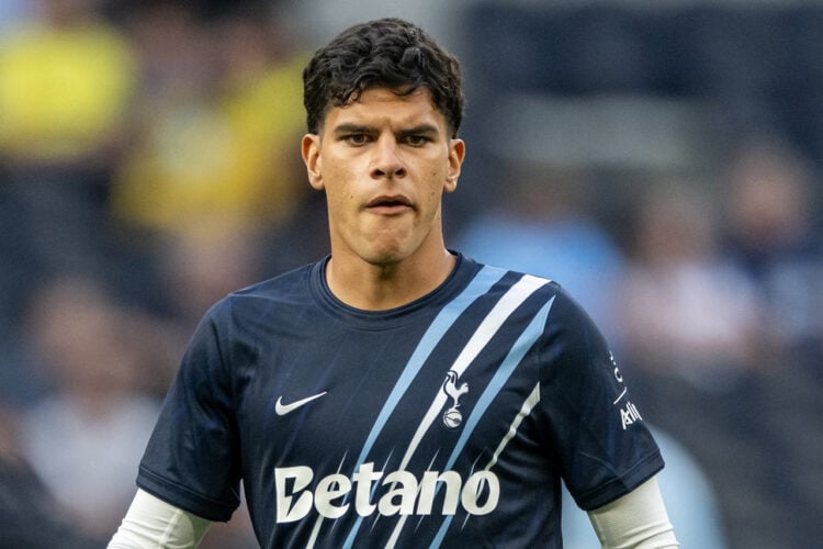 Mateus Fernandes Tottenham