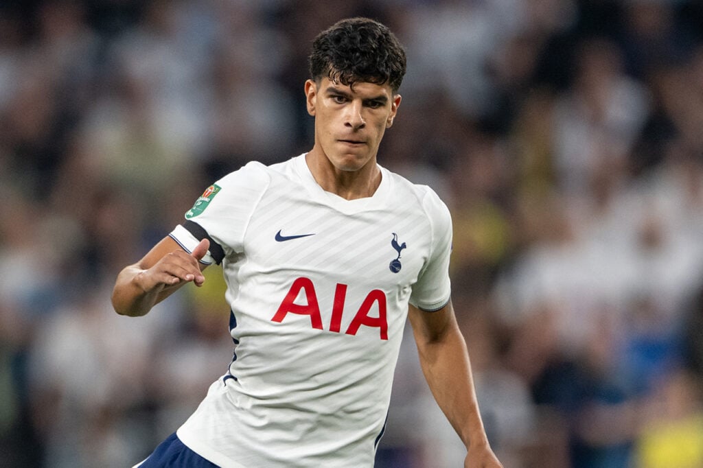 Mateus Fernandes Tottenham