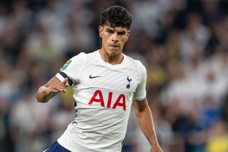 Mateus Fernandes Tottenham