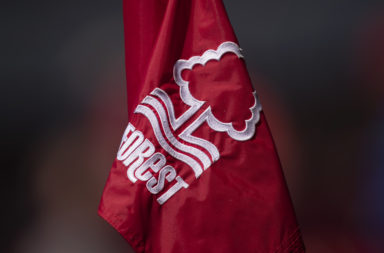 Nottingham Forest club badge on a corner flag